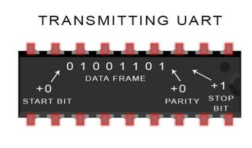 image-20240606012411568