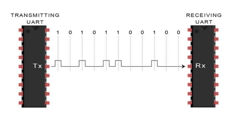 image-20240606012554646